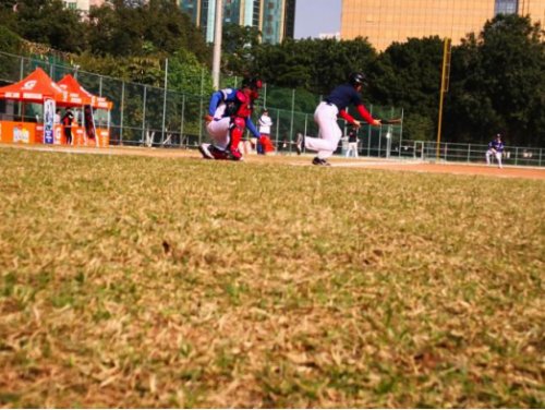 沈阳市第三十六中学,沈阳市第三十六中学省重点