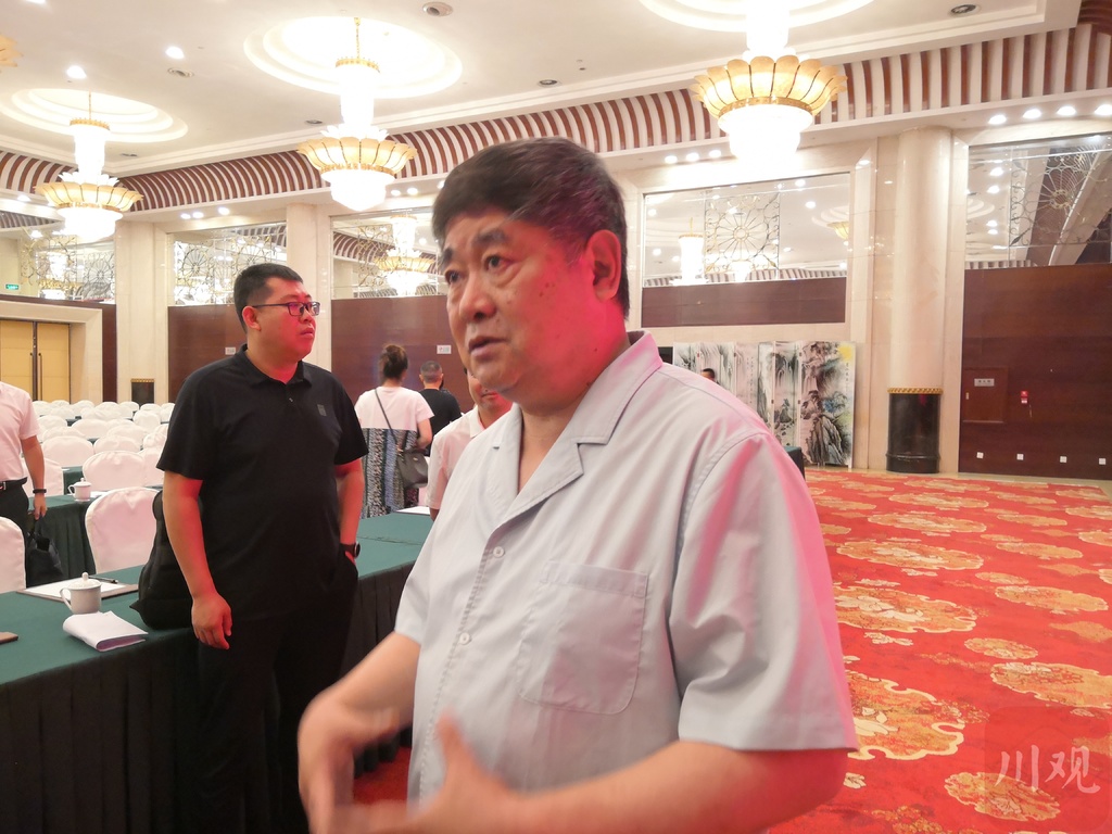 人物特写不露脸视频,单霁翔简介