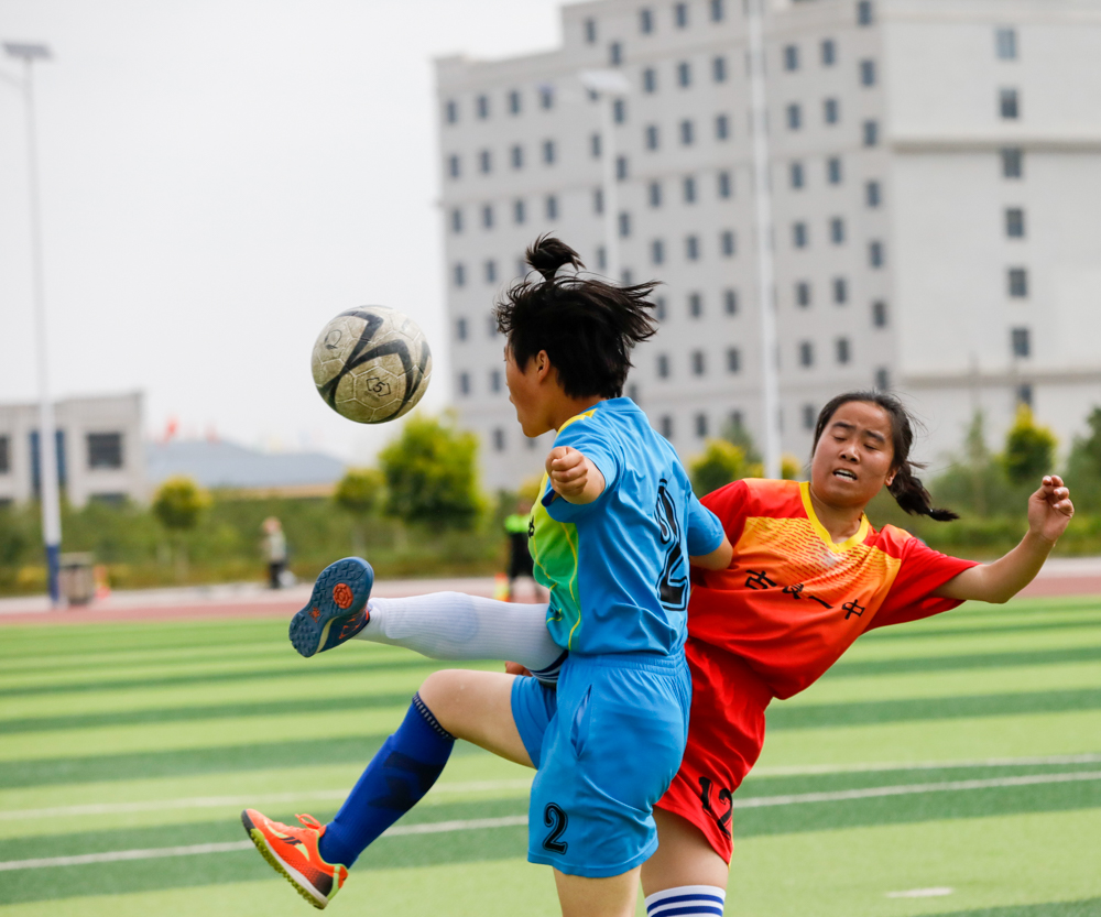 足球赛场上的心酸,足球场上的感动瞬间文章
