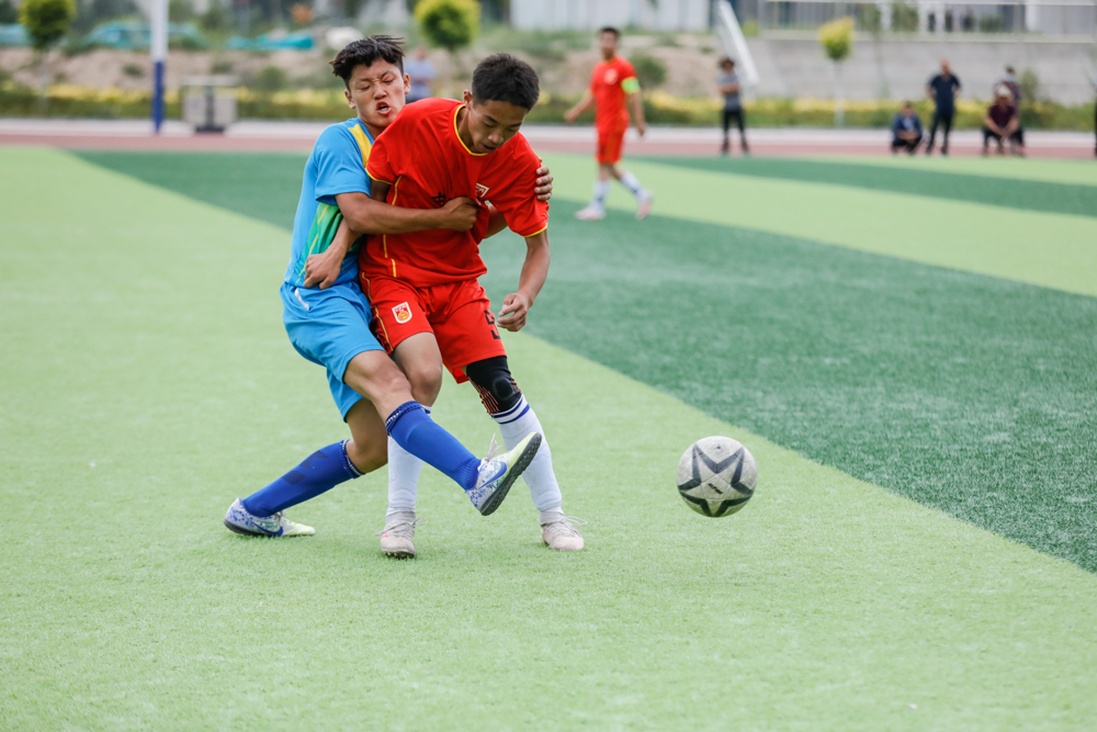足球赛场上的心酸,足球场上的感动瞬间文章