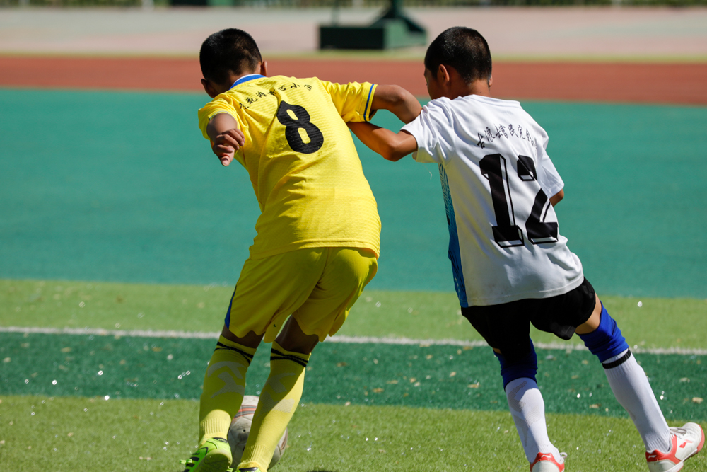 足球赛场上的心酸,足球场上的感动瞬间文章