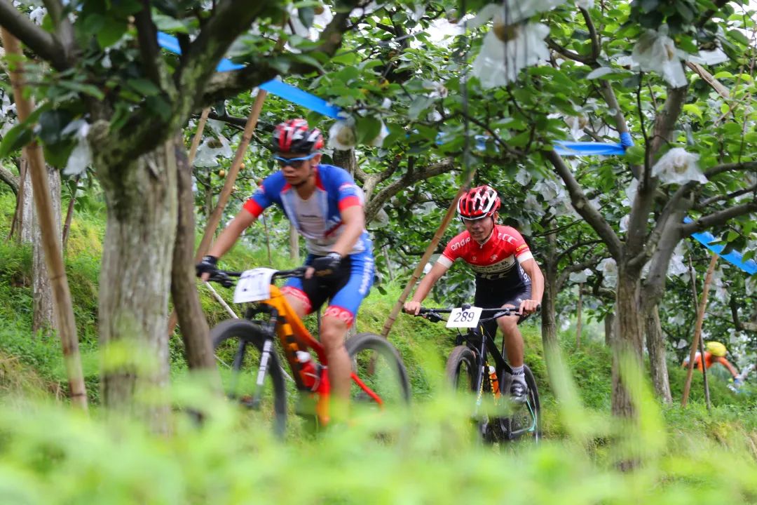 2020奔跑贵州山地跑系列赛总决赛,贵州山地自行车联赛