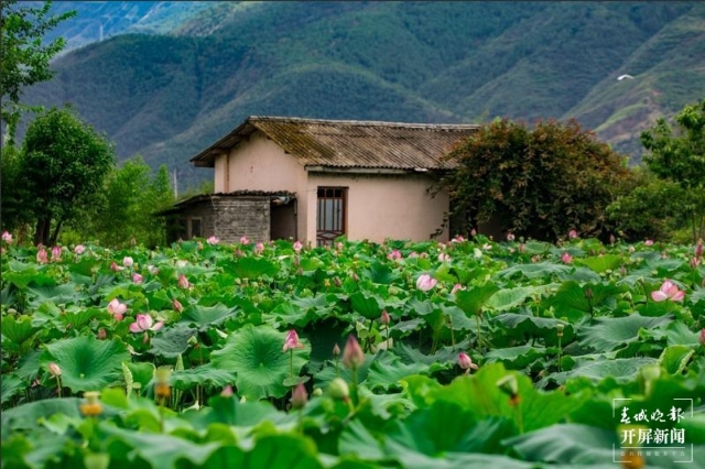 新冠疫苗还有没有第二批,新冠疫苗是否后期不免费
