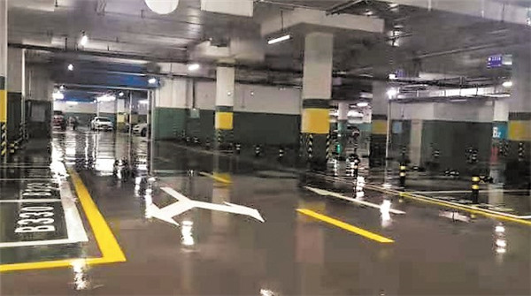 车里闹耗子,车里老鼠多怎么消灭