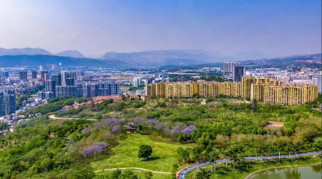 打好绿色牌，开远从根到枝到面都在变“绿”