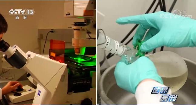 德堡到底藏着什么不可告人的秘密,世界周刊德堡黑幕观后感