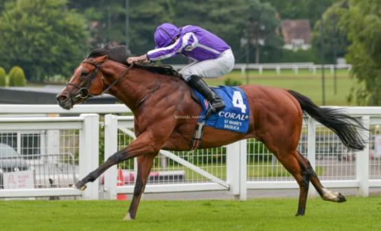 十大最强马匹排名,三马摩托车排行榜