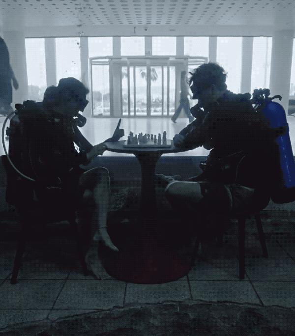 迪拜最深游泳池有鱼吗,世界最深的游泳池怎么去