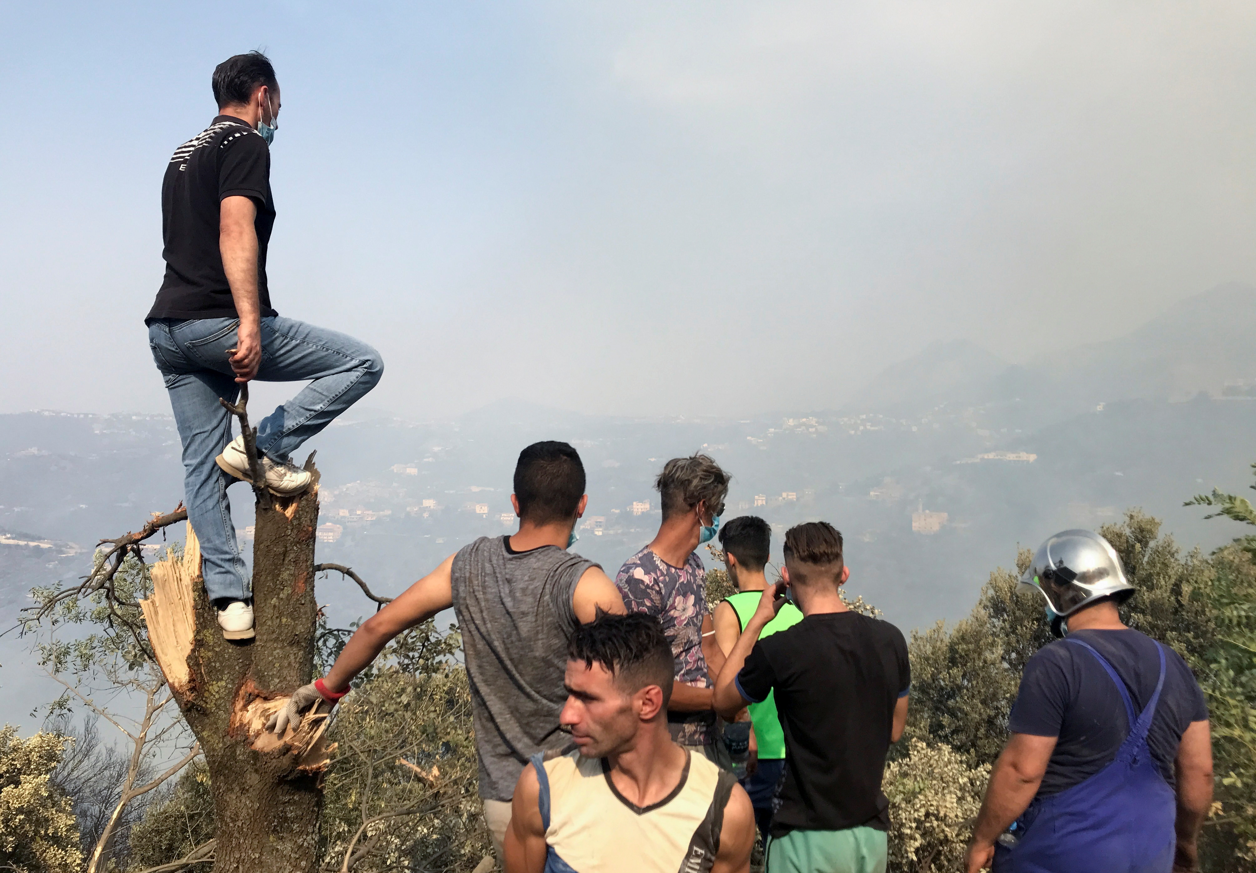 阿尔及利亚发生森林大火,阿尔及利亚发生森林大火原因