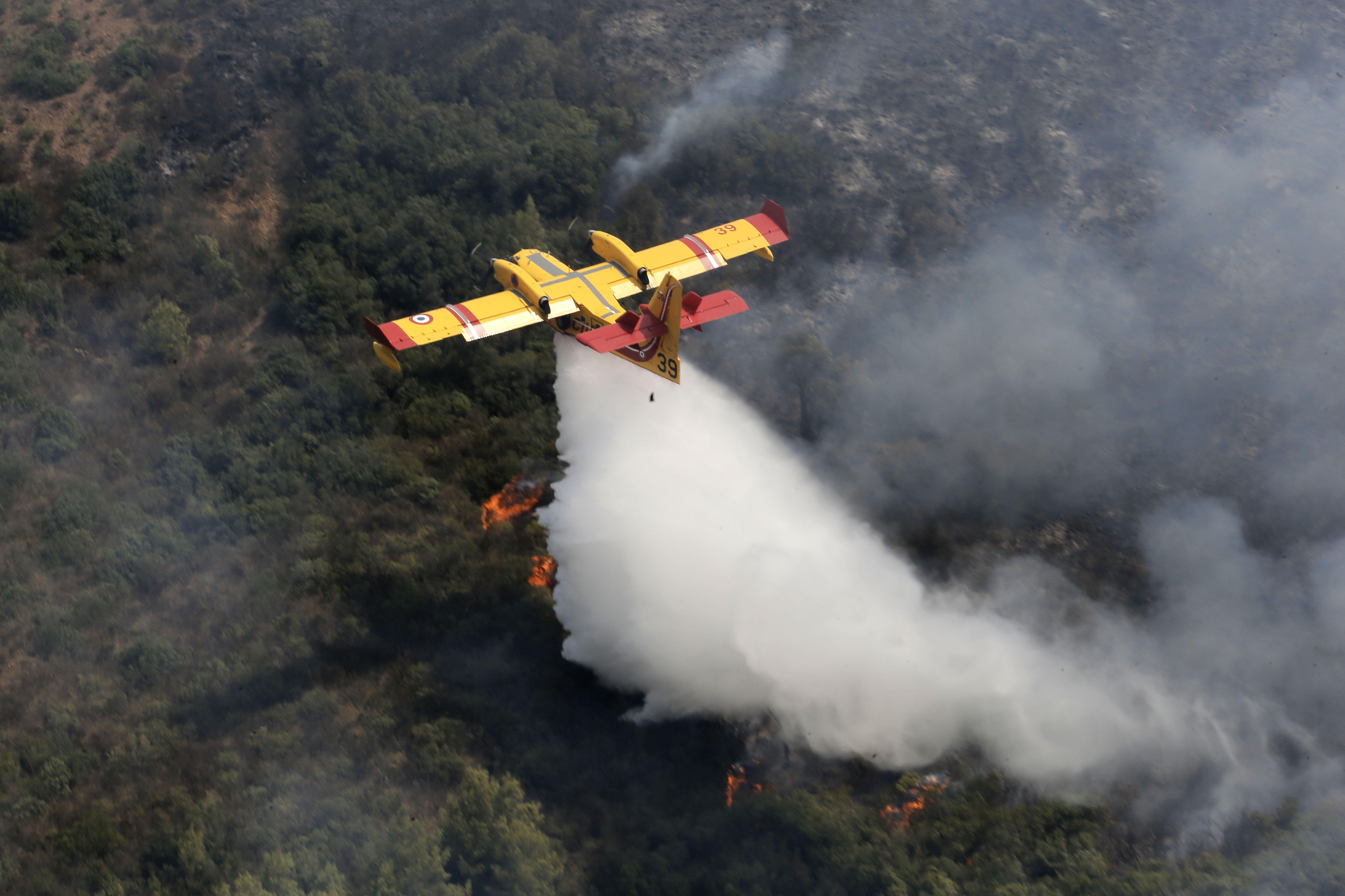 阿尔及利亚发生森林大火,阿尔及利亚发生森林大火原因