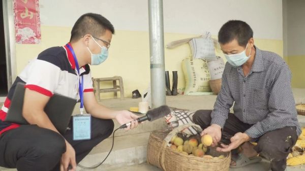 急！漳河镇40万斤果蔬急盼销路