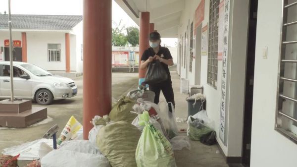 急！漳河镇40万斤果蔬急盼销路