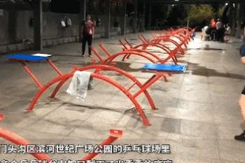 为什么中国人那么擅长打乒乓球,中国人为啥打乒乓球这么厉害