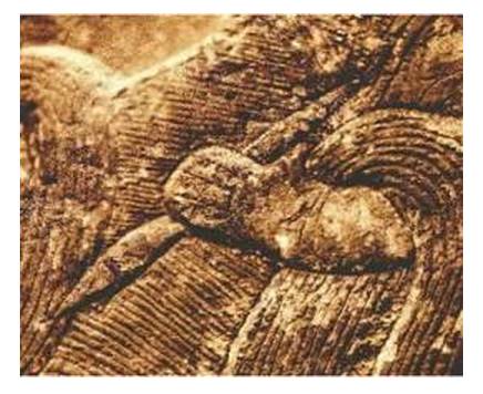 毛笔握笔与铅笔握笔的区别,书法入门基本功毛笔握笔位置