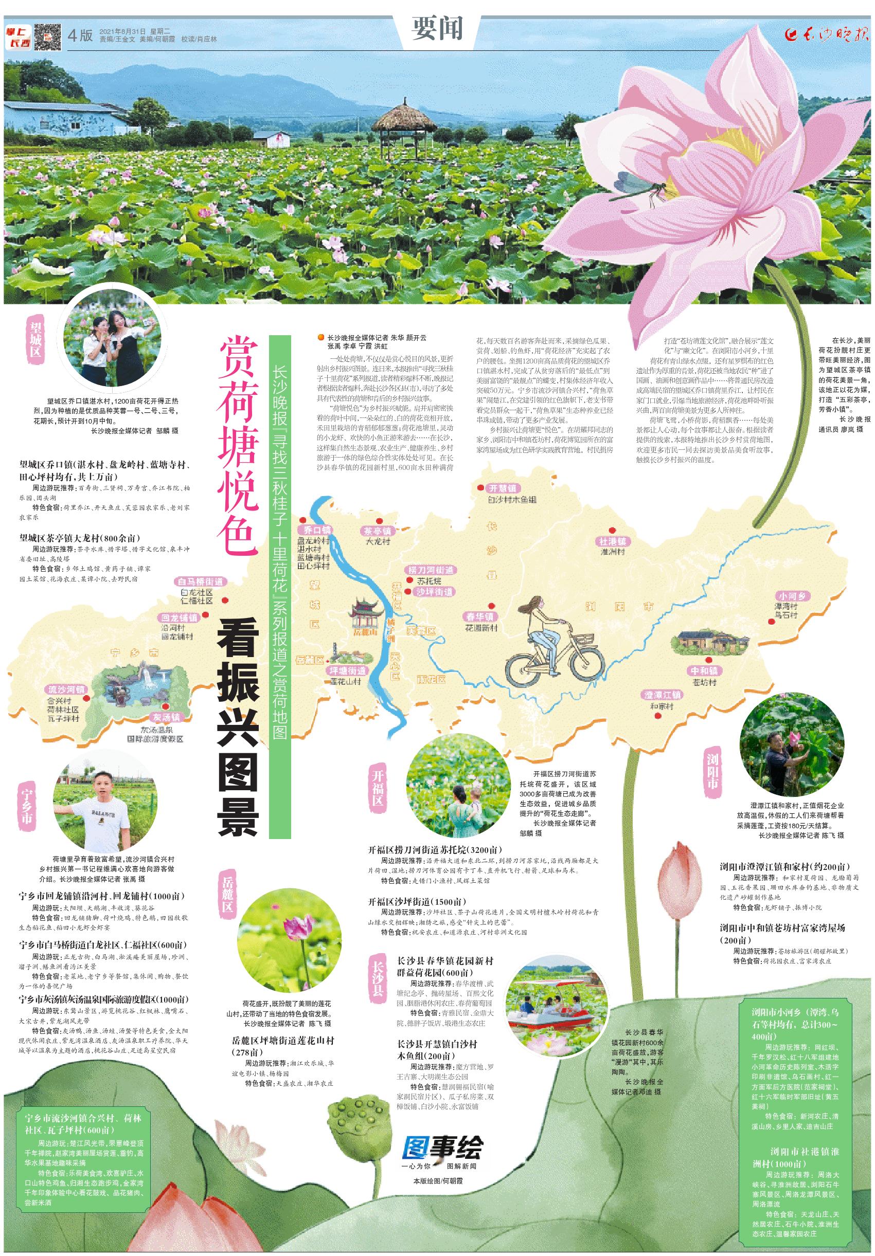 赏荷塘悦色看振兴图景