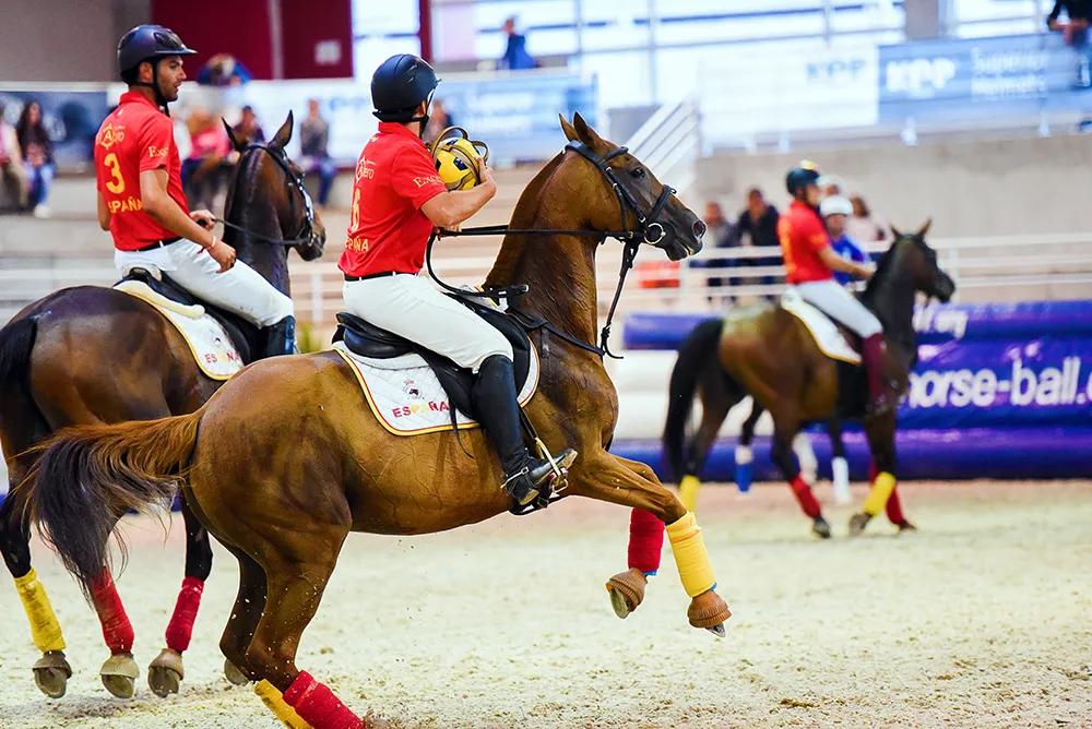 马术运动中国,中国马术运动