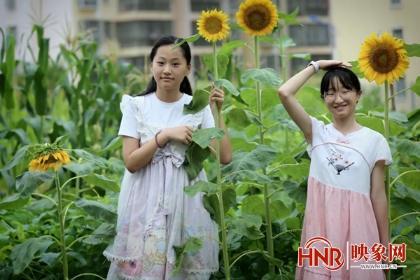 商城县思源中学：劳动育人结硕果潜心育人绽芳华