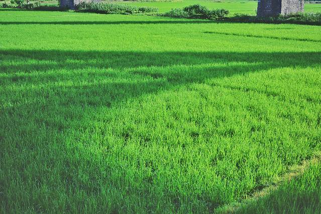 路过人间无非一瞬间歌曲,路过人间无非一瞬间舞蹈