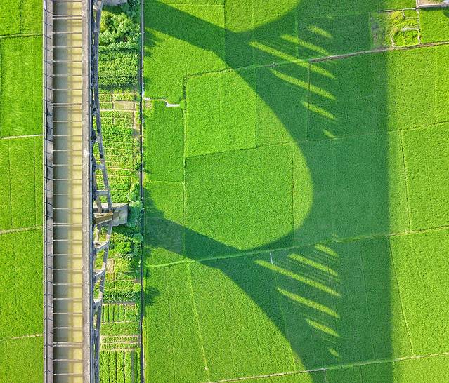 路过人间无非一瞬间歌曲,路过人间无非一瞬间舞蹈
