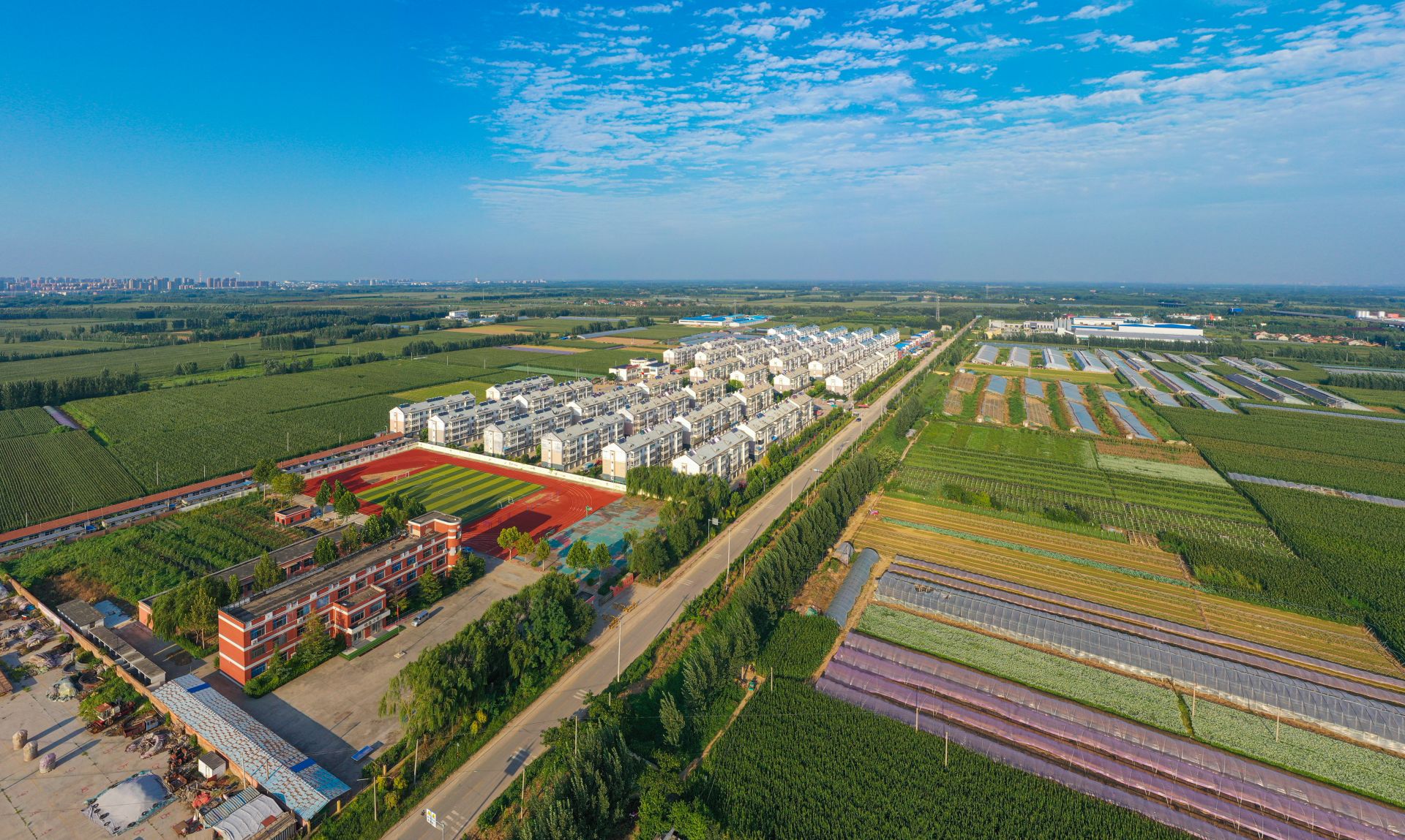 集体收入10年翻15倍！禹城禹兴街道夏季社区：大棚绿正浓乡村产业兴