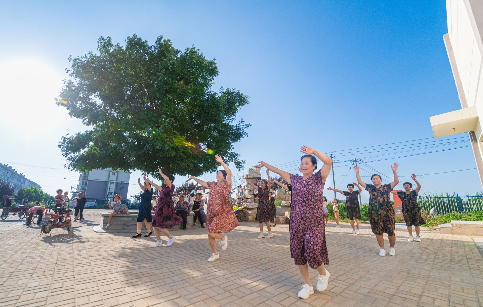 集体收入10年翻15倍！禹城禹兴街道夏季社区：大棚绿正浓乡村产业兴