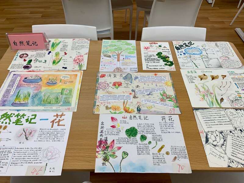 上海教育局双减政策晚放学,双减政策中小学作业量