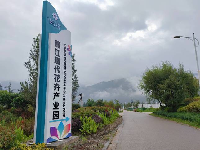 百年老校朗诵主题,百年老校校庆诗句