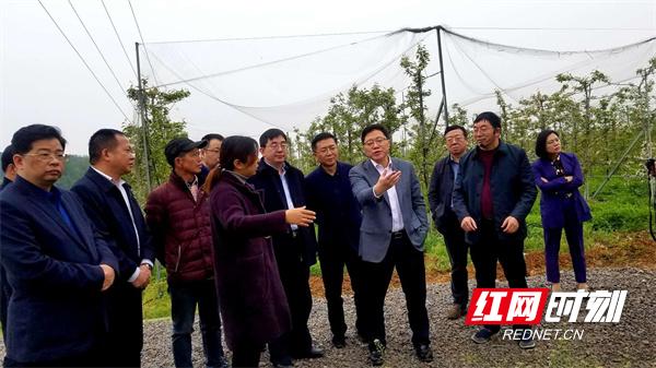 桃源村发展,村企共建显效果齐头并进迎新年