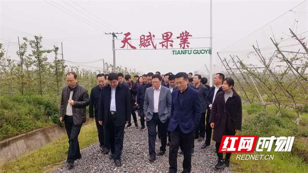 桃源村发展,村企共建显效果齐头并进迎新年