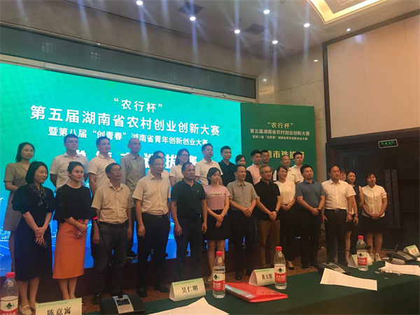 桃源村发展,村企共建显效果齐头并进迎新年