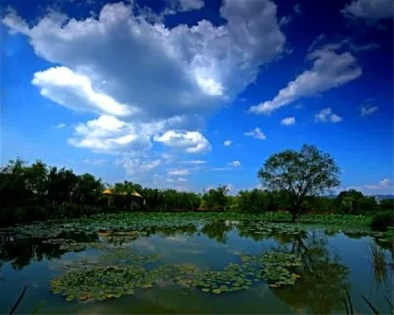 西安优秀导游词,西安导游词100个