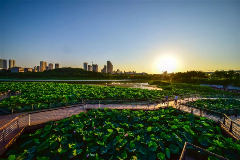 西安优秀导游词,西安导游词100个