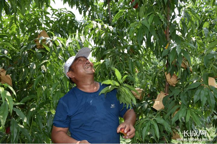 河北故城：科技“硬实力”+农旅“软文化”打造乡村振兴新引擎