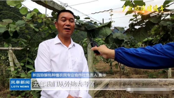 袁华巅峰时期,袁华的巅峰时刻