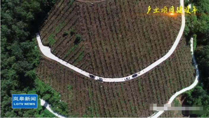 袁华巅峰时期,袁华的巅峰时刻