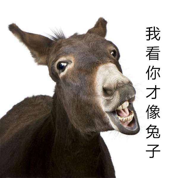 追光｜在全运村丢个小毛驴试试？分分钟找回来
