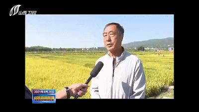 农民田间辛勤劳作喜迎首个丰收节,庆丰收让乡亲们的日子越过越红火
