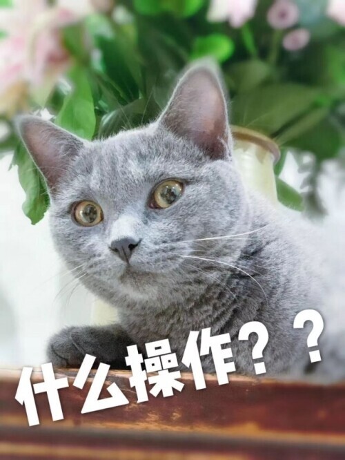 多人被骗十几万,奢侈品代购被骗了怎么维权