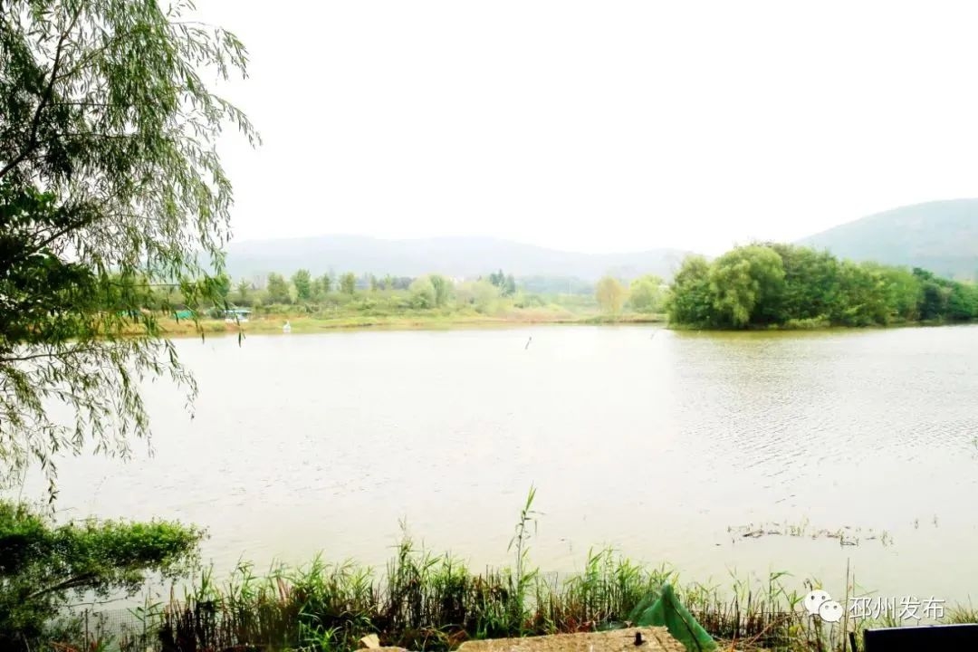 书记的一天短视频,县委书记一天的工作