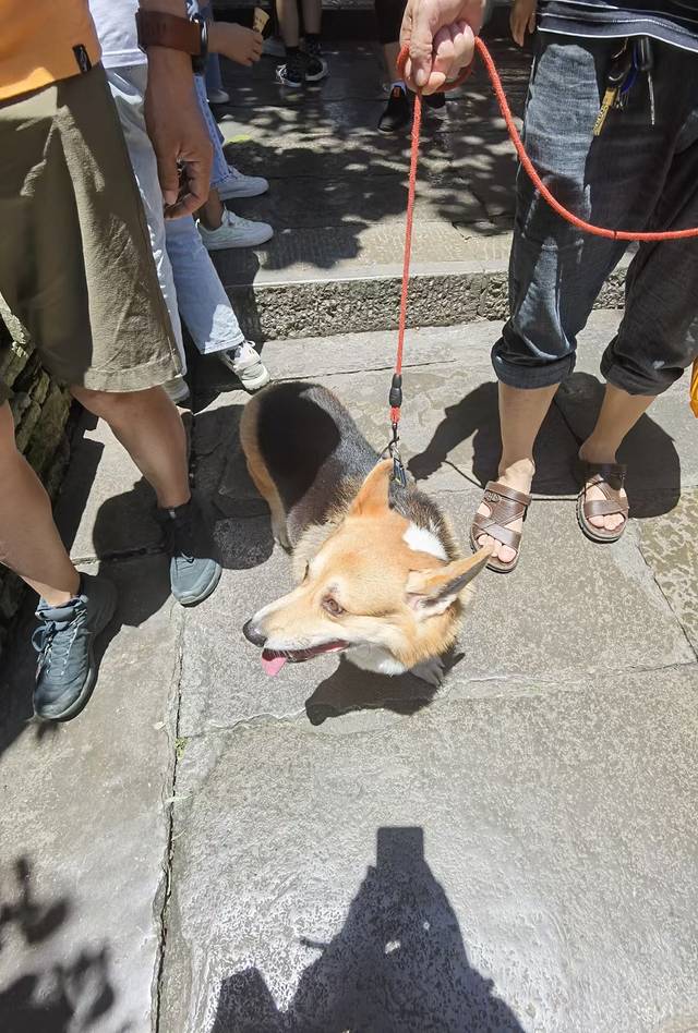 五上贵州‖我和贵州的不了情