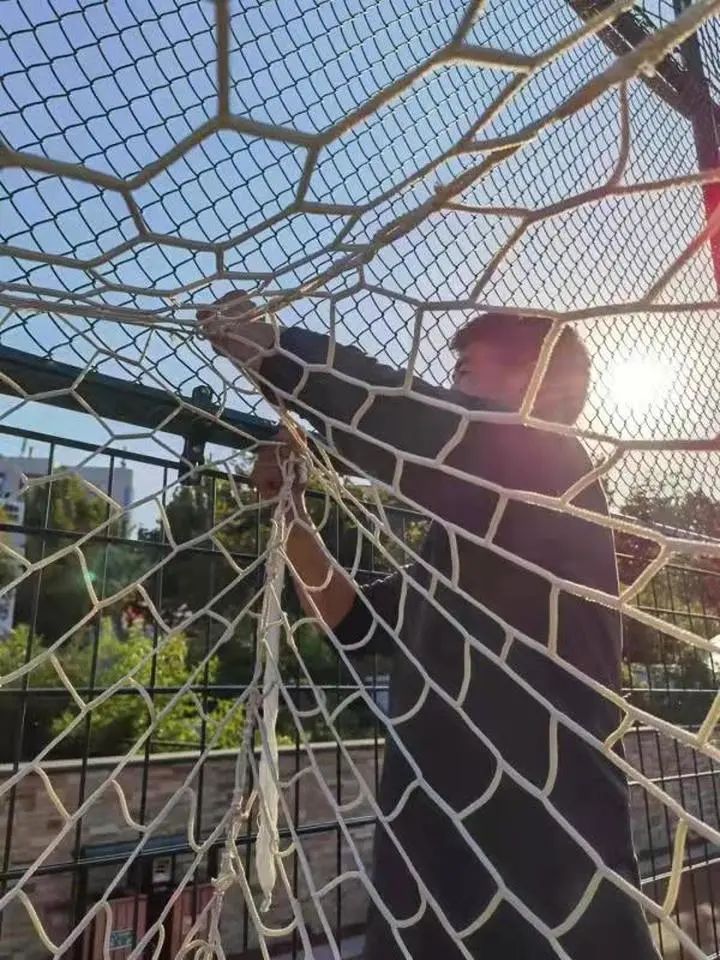 省体时隔9年再亮相，“圣体”展现新活力