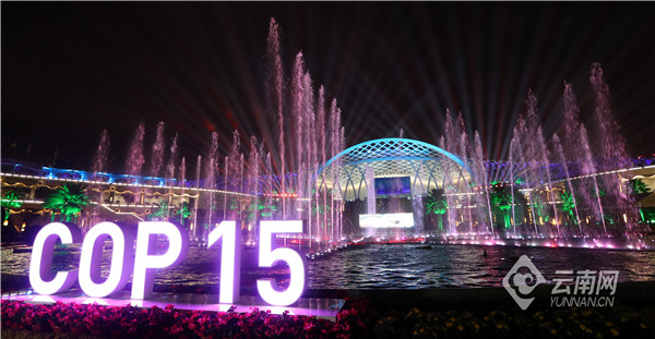 昆明cop15滇池国际会展中心游玩,昆明滇池cop15夜景