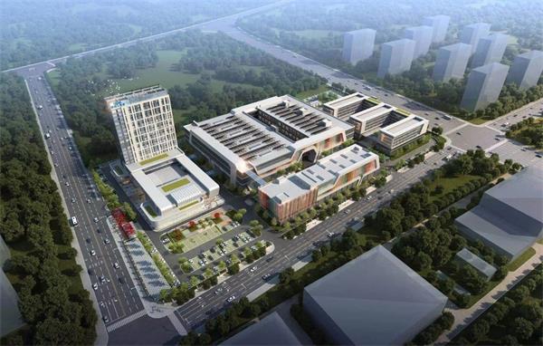 你好，我是福瑞达｜而“丽”之年，重新认识“90后”福瑞达