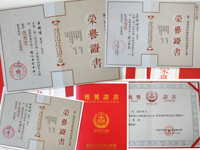 岳明阔简介,岳明阔讲诗词创作