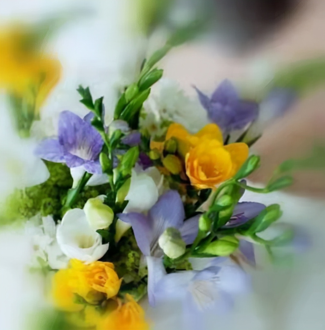 从电影《长津湖》想到的/赵顺年