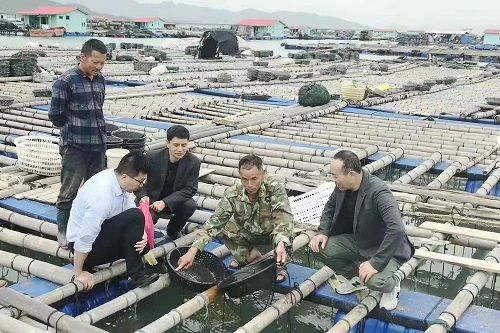 农行普惠金融服务支持乡村振兴,农行为三农注入金融活水