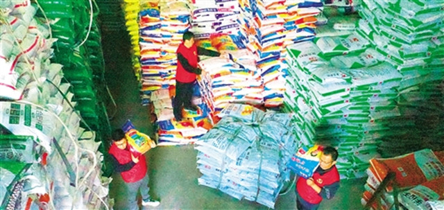 生态湿地百鸟来栖视频,护大河之洲引百鸟来栖