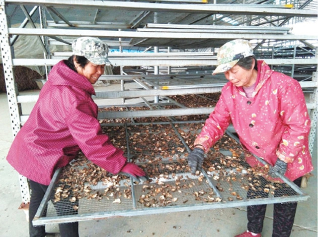 生态湿地百鸟来栖视频,护大河之洲引百鸟来栖