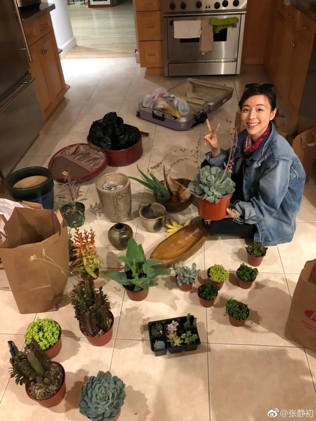 消失6年后，张静初单身生活首曝光！独居大House，与满屋破烂作伴