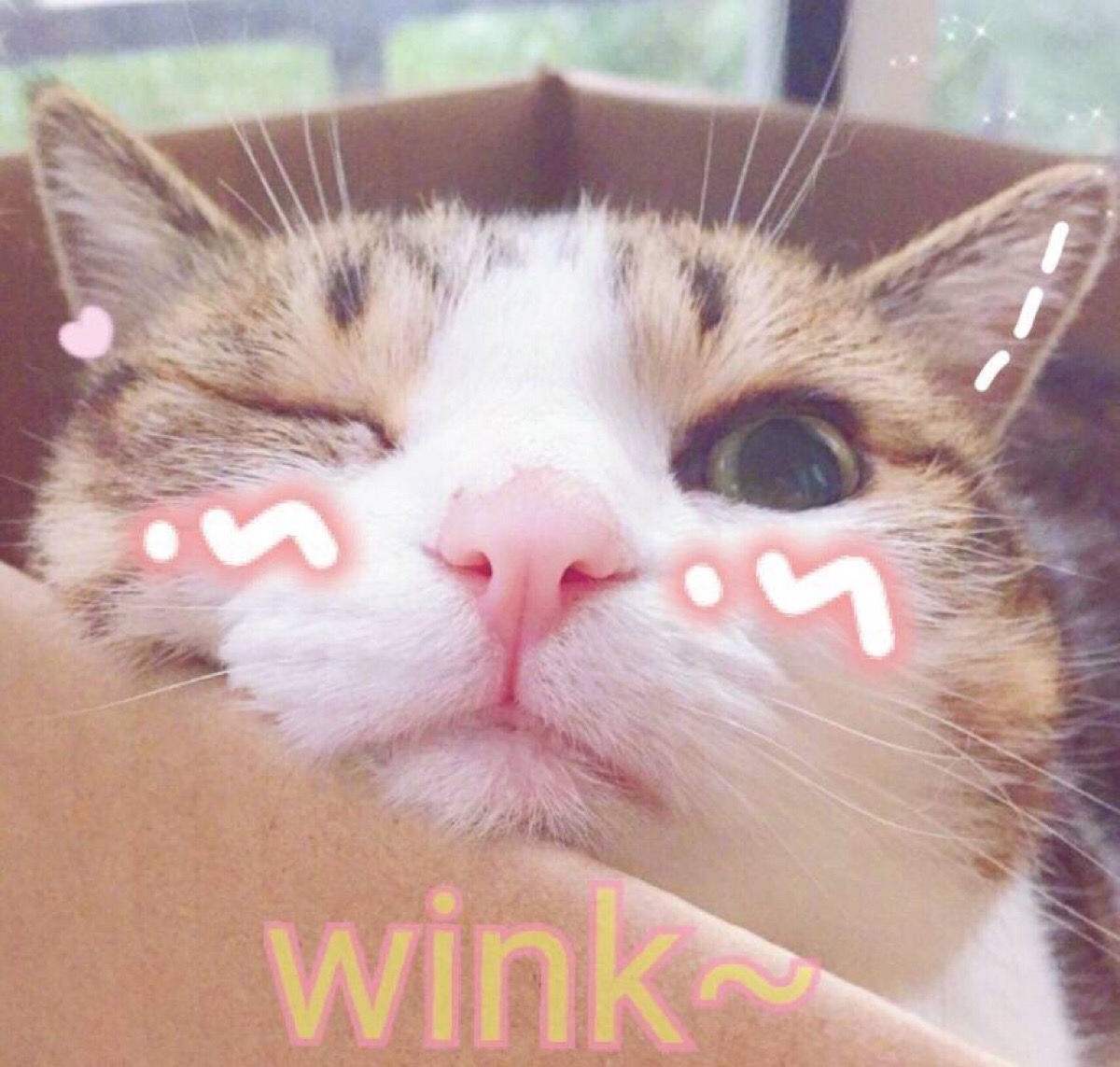 dior豆沙棕丝绒720口红试色,ysl302小黑条豆沙色和迪奥720